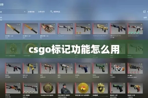 CSGO改名与标签去除全攻略